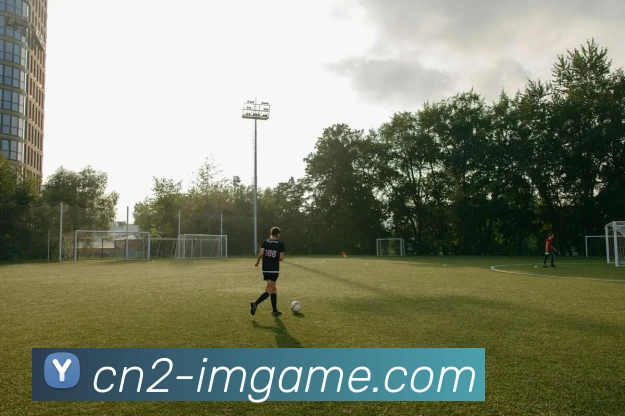 IM体育官网服务体系